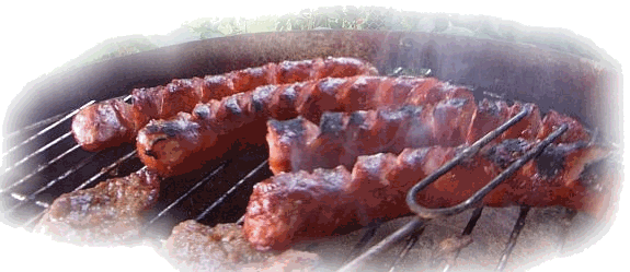 https://www.galdrew.com.pl/files/FCK/image/grill_3.gif